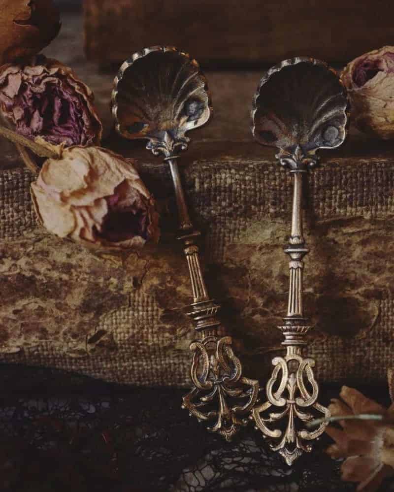 Shell Spoons