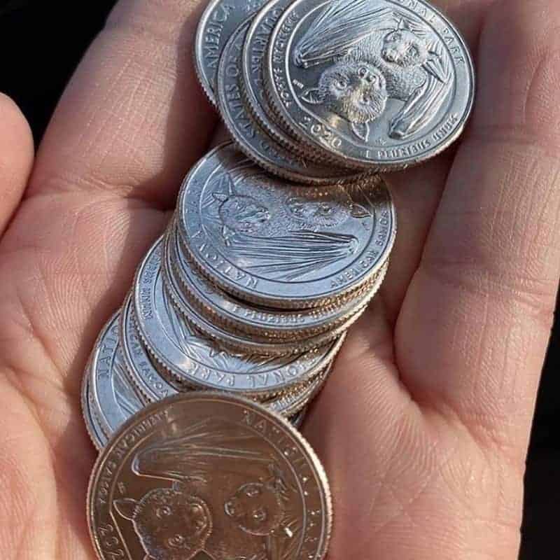 Identifying the 2020 Bat Quarter Errors