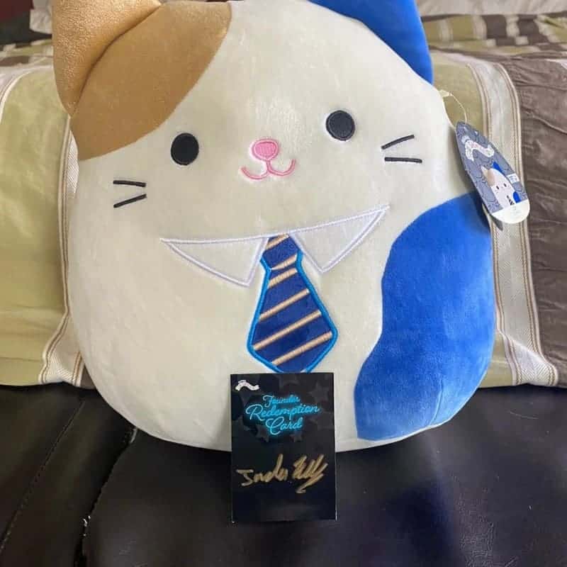 JSK the Cat