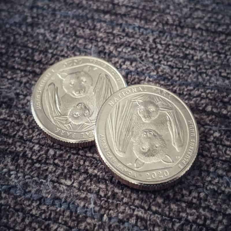 Why’s the National Park 2020 Bat Quarter Special