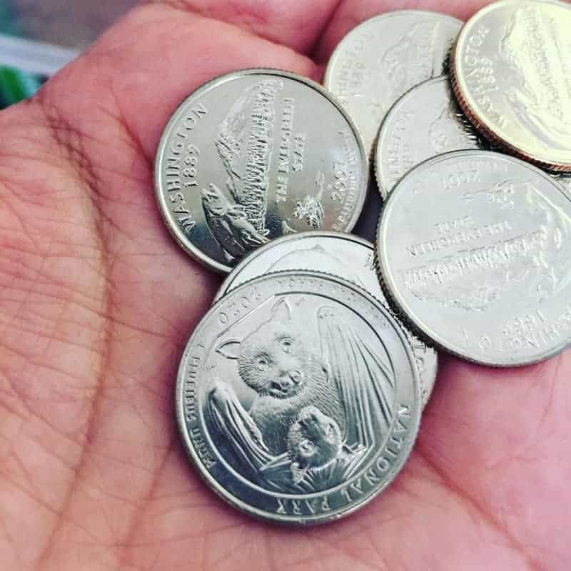 the National Park 2020 Bat Quarter