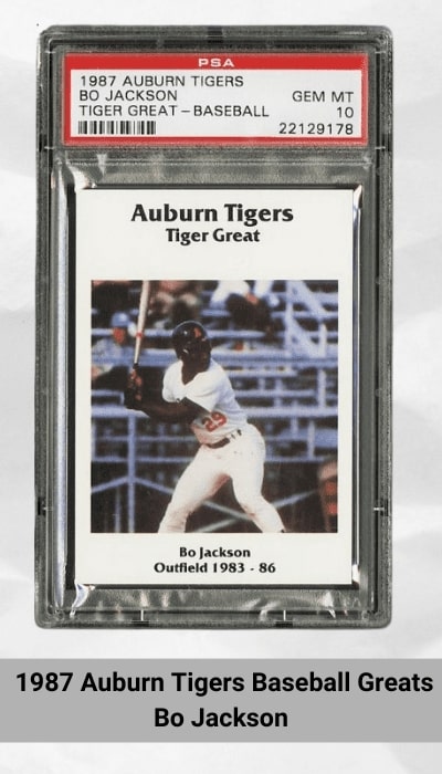 1987 Auburn Tigers Baseball Greats Bo Jackson