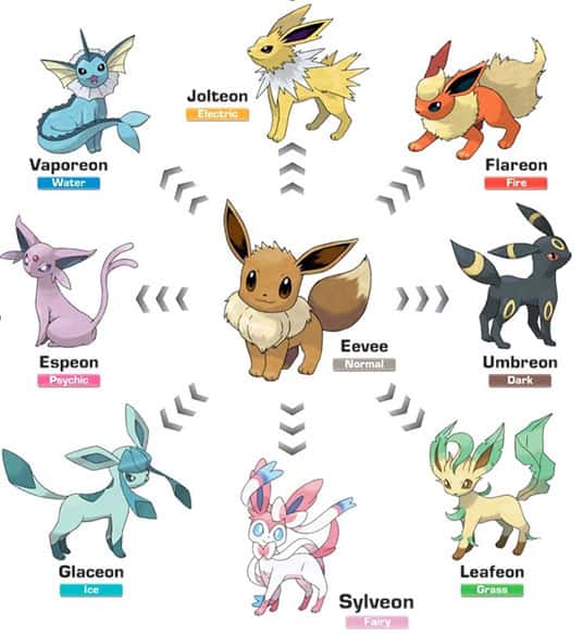 History of Eevee Pokemon Cards