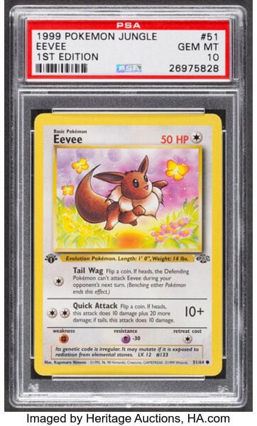 Pokemon Eevee First Edition Jungle Set #51